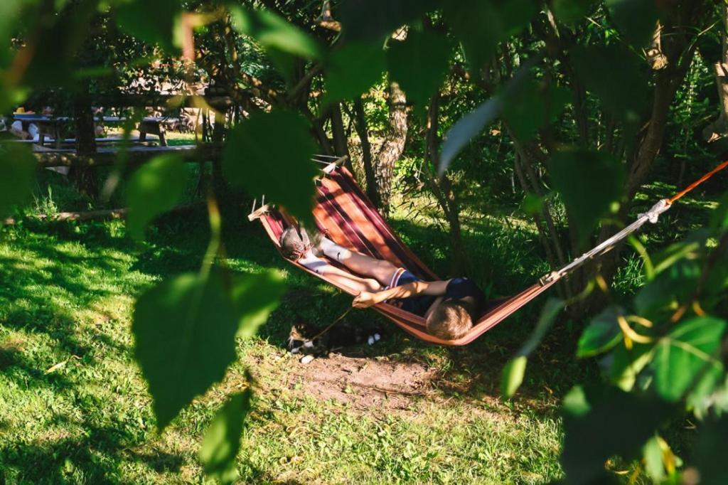 Spokoj & Dobro - Slow Life Apartments Gaski  Ngoại thất bức ảnh